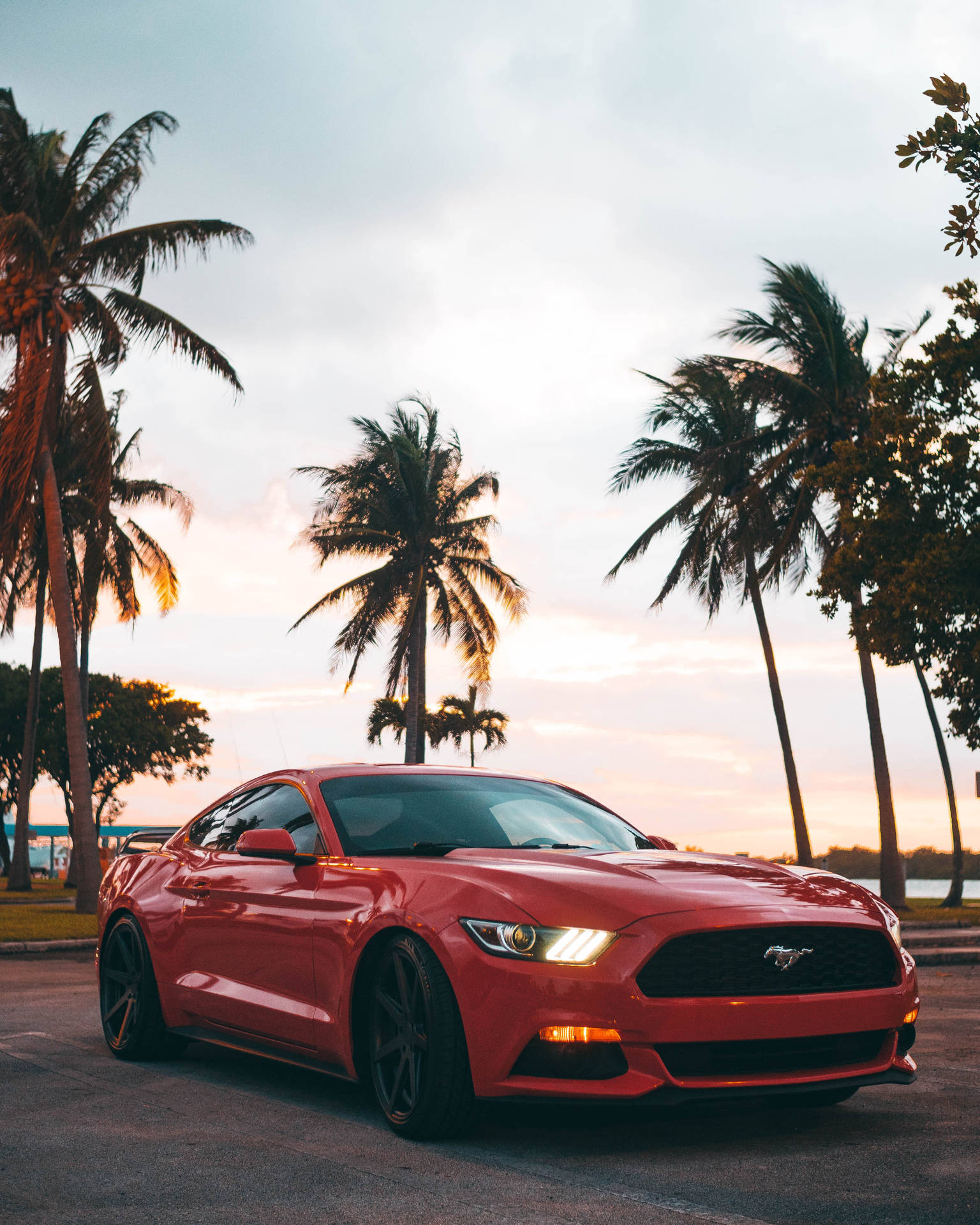 Red Ford Mustang Gt In Sun Set Palm Trees Background