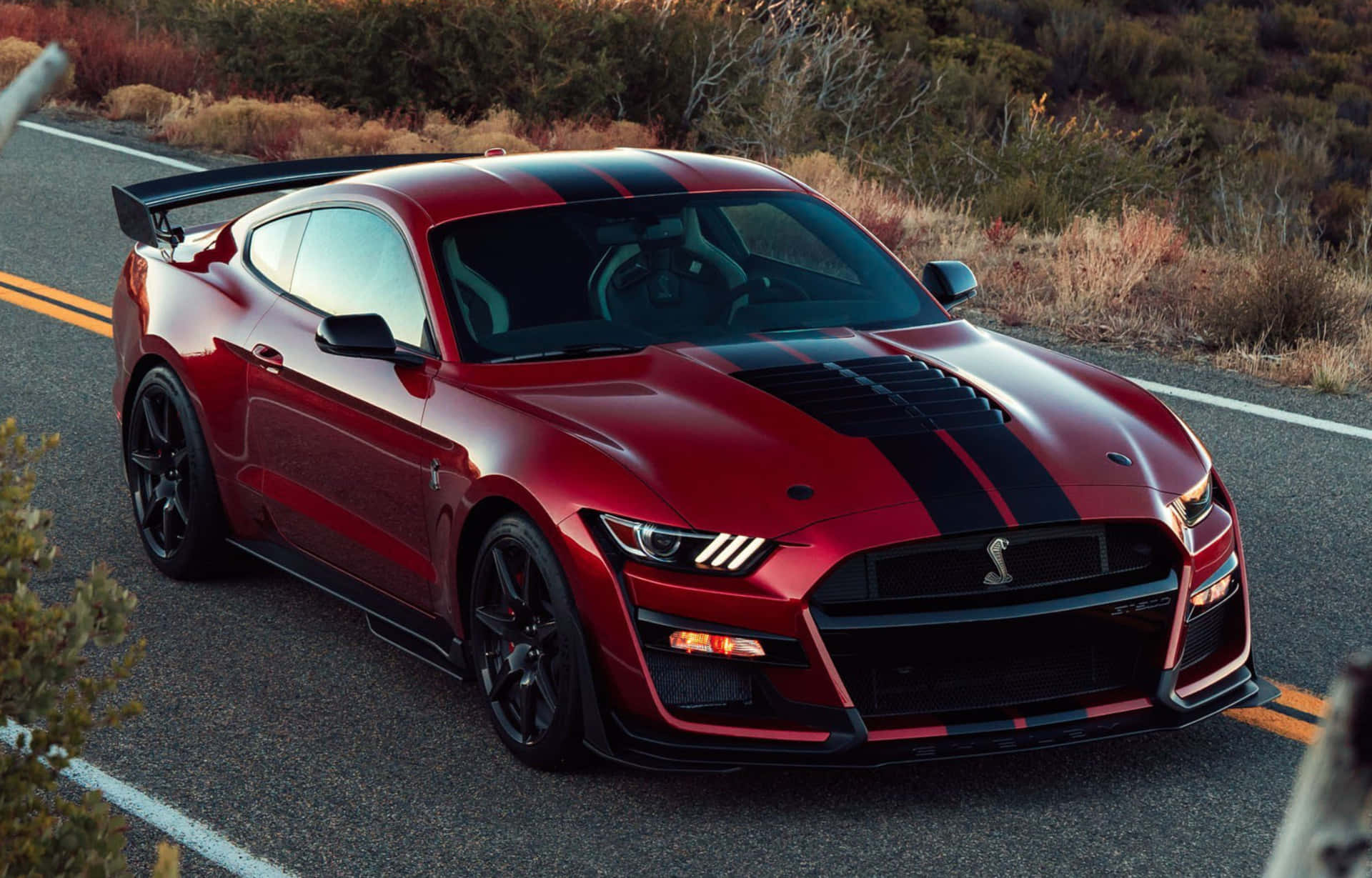 Red Ford Mustang Shelby G T500 On Road Background