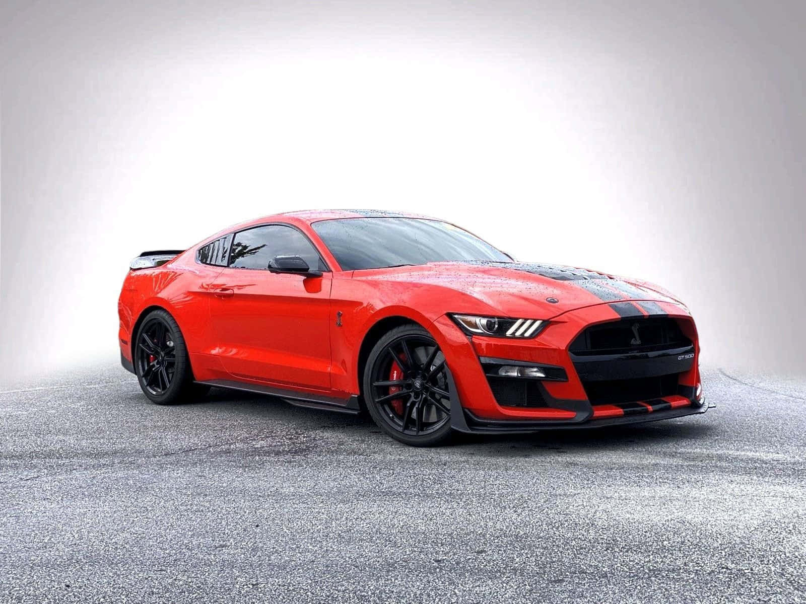 Red Ford Mustang Shelby G T500 Studio Shot Background