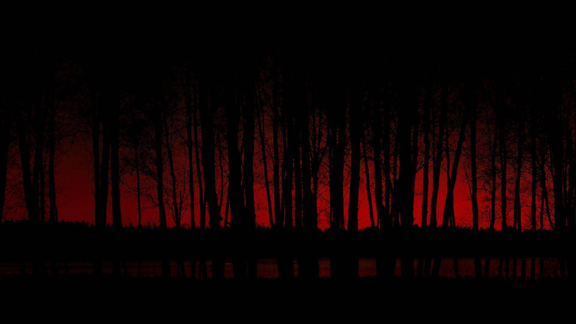 Red Forest On Black Horror Background