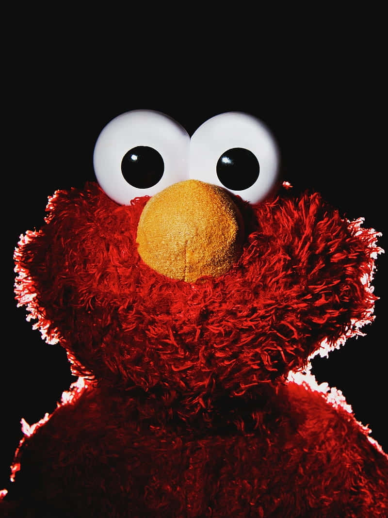 Red Furry Muppet Portrait Background