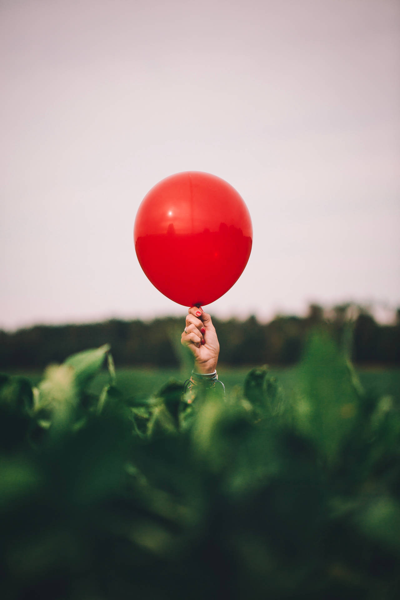 Red Glossy Balloon Over Green Plants Background