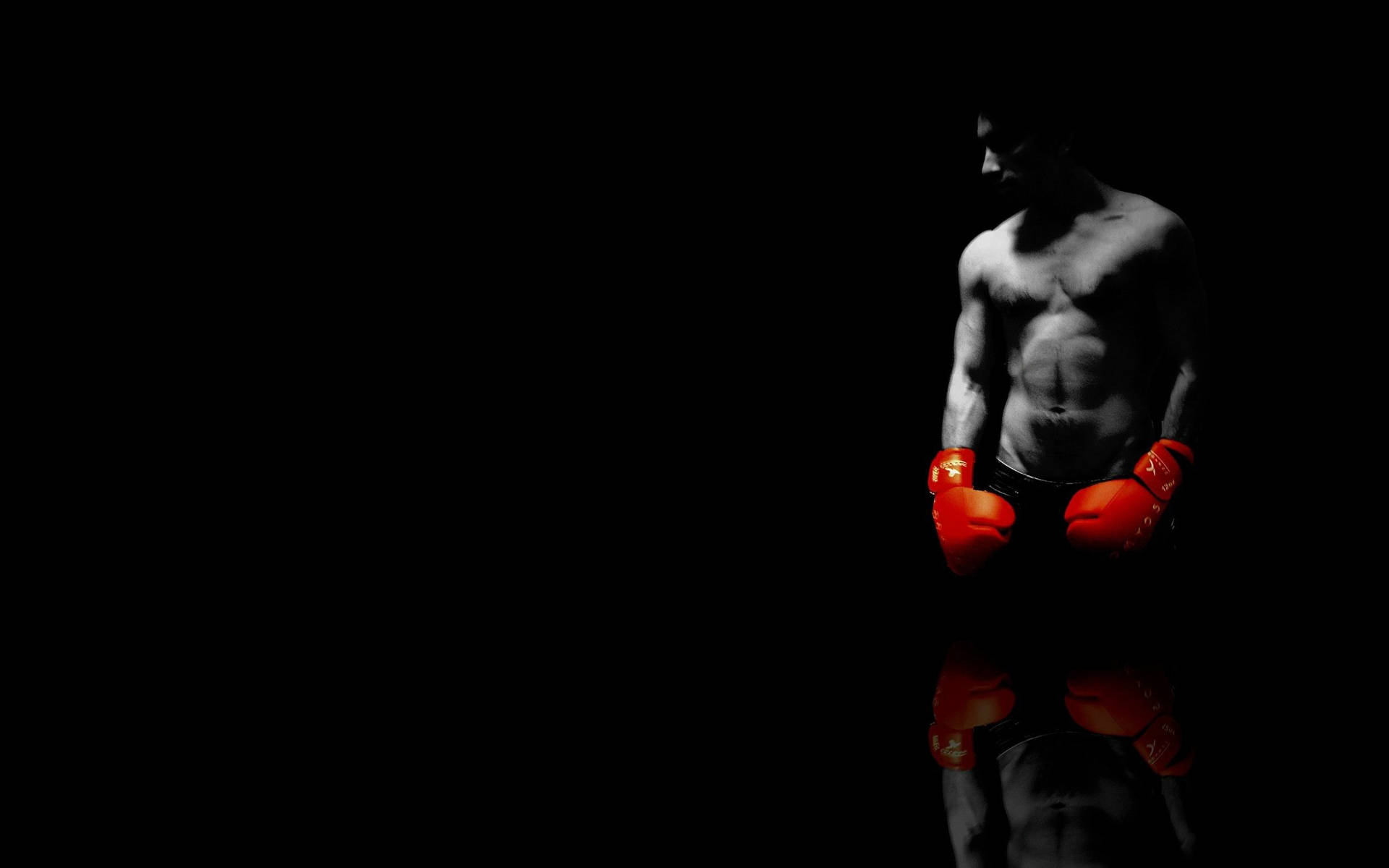 Red Gloves Boxing Highlight Photo Background