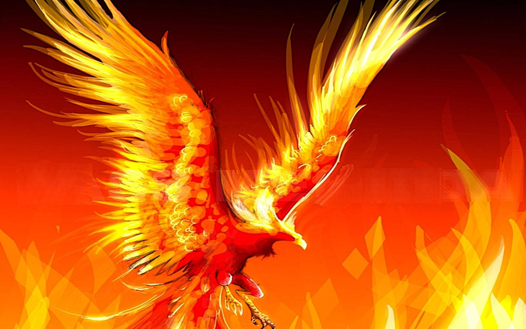 Red Gold Phoenix Background
