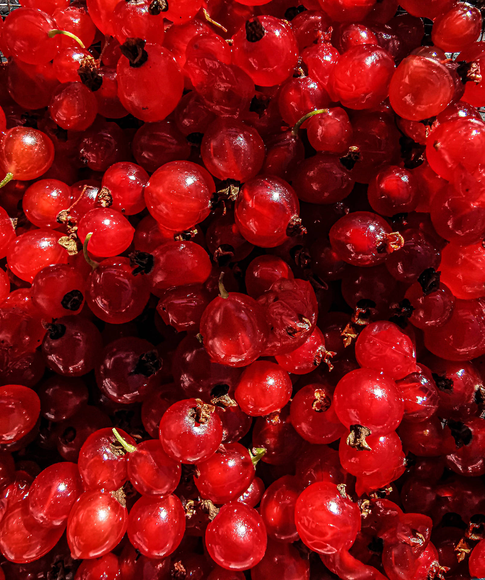 Red Gooseberry Fruits Background