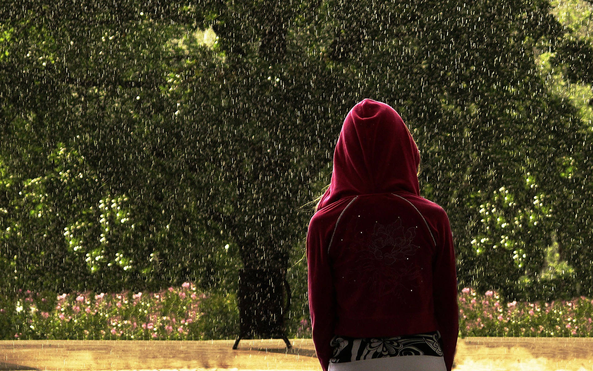 Red Hoodie Under Rain Background