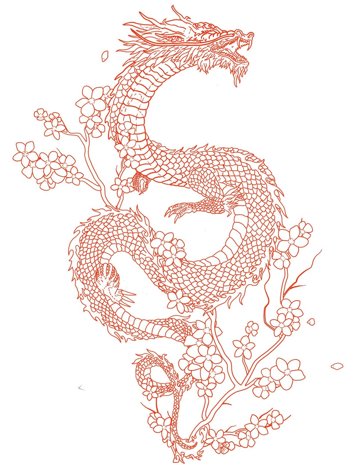 Red Japanese Dragon Tattoo Drawing Background