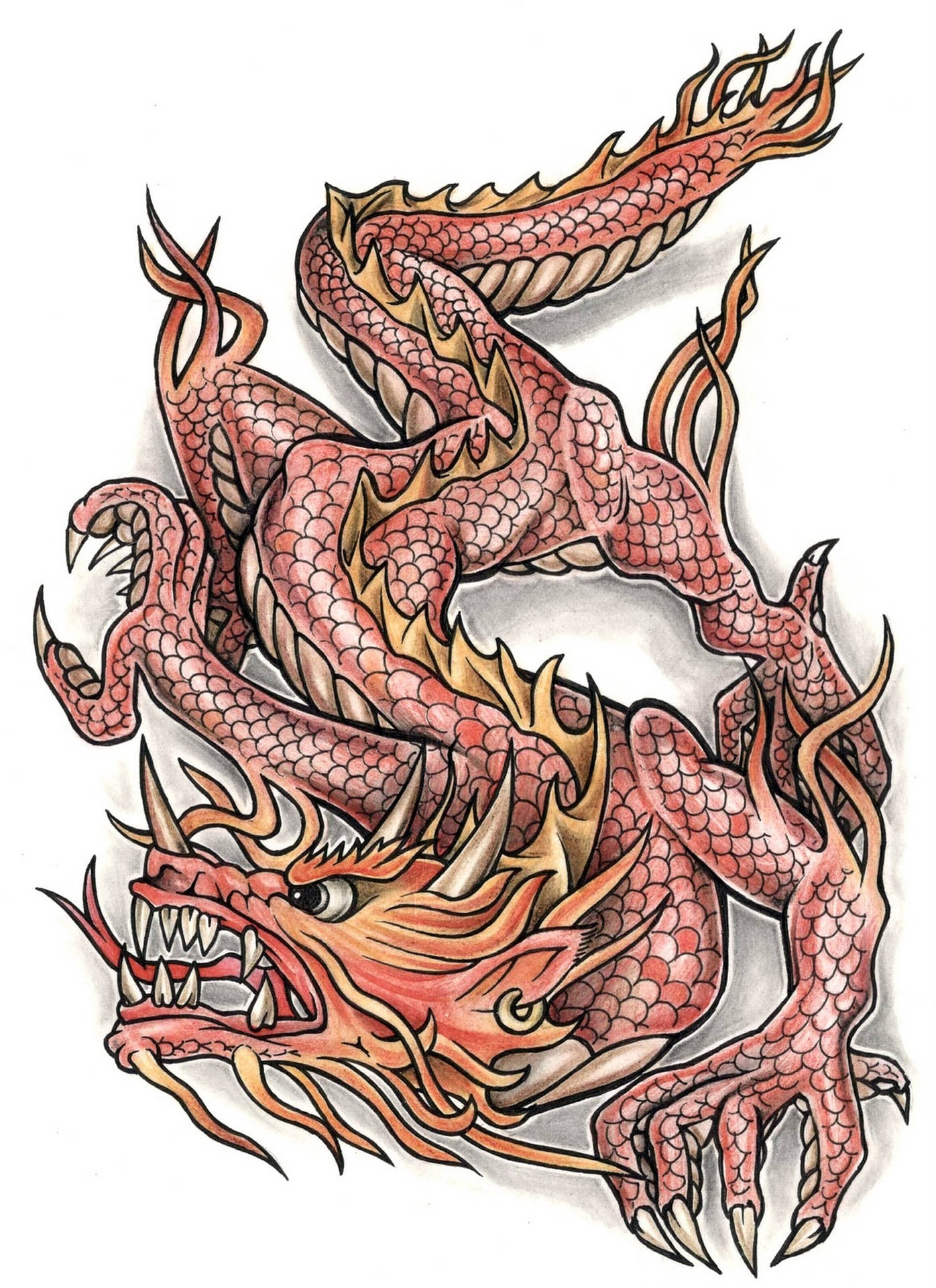 Red Japanese Dragon Tattoo Background