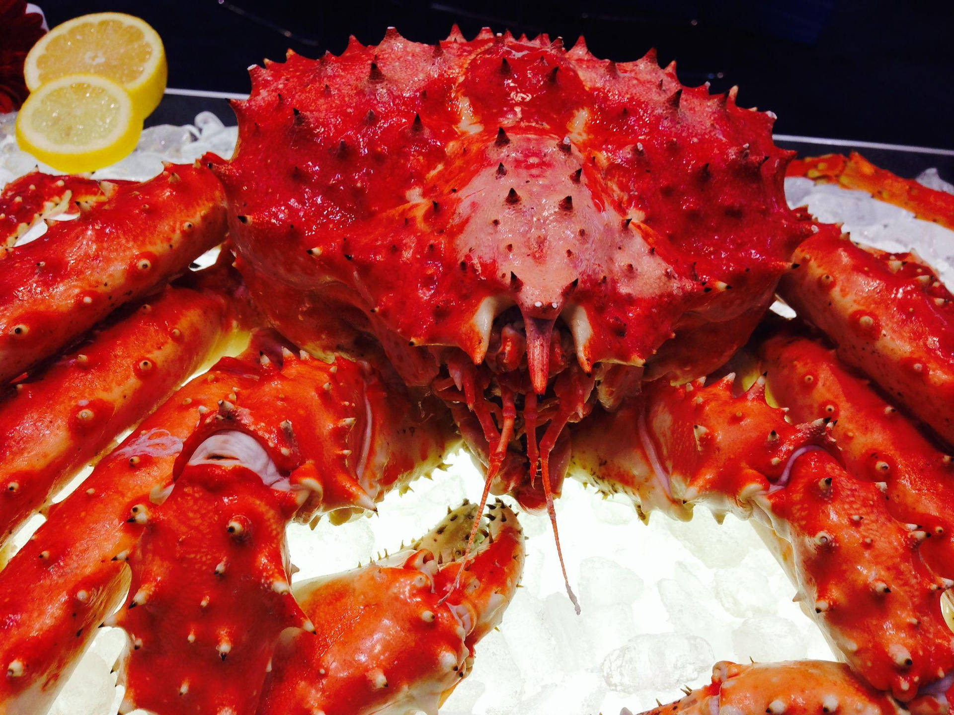 Red King Crab On Ice Background