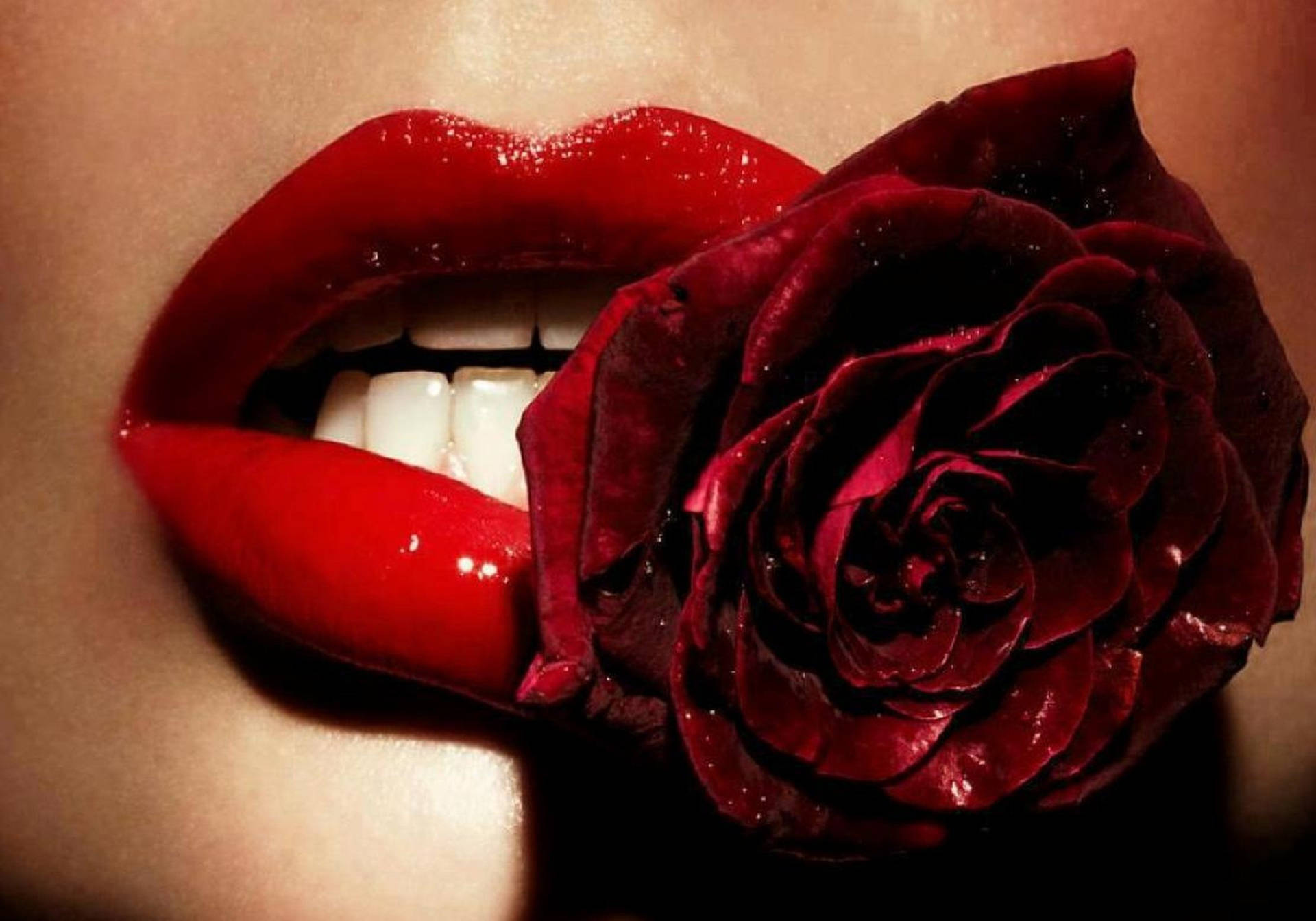 Red Lips Biting A Red Rose Background