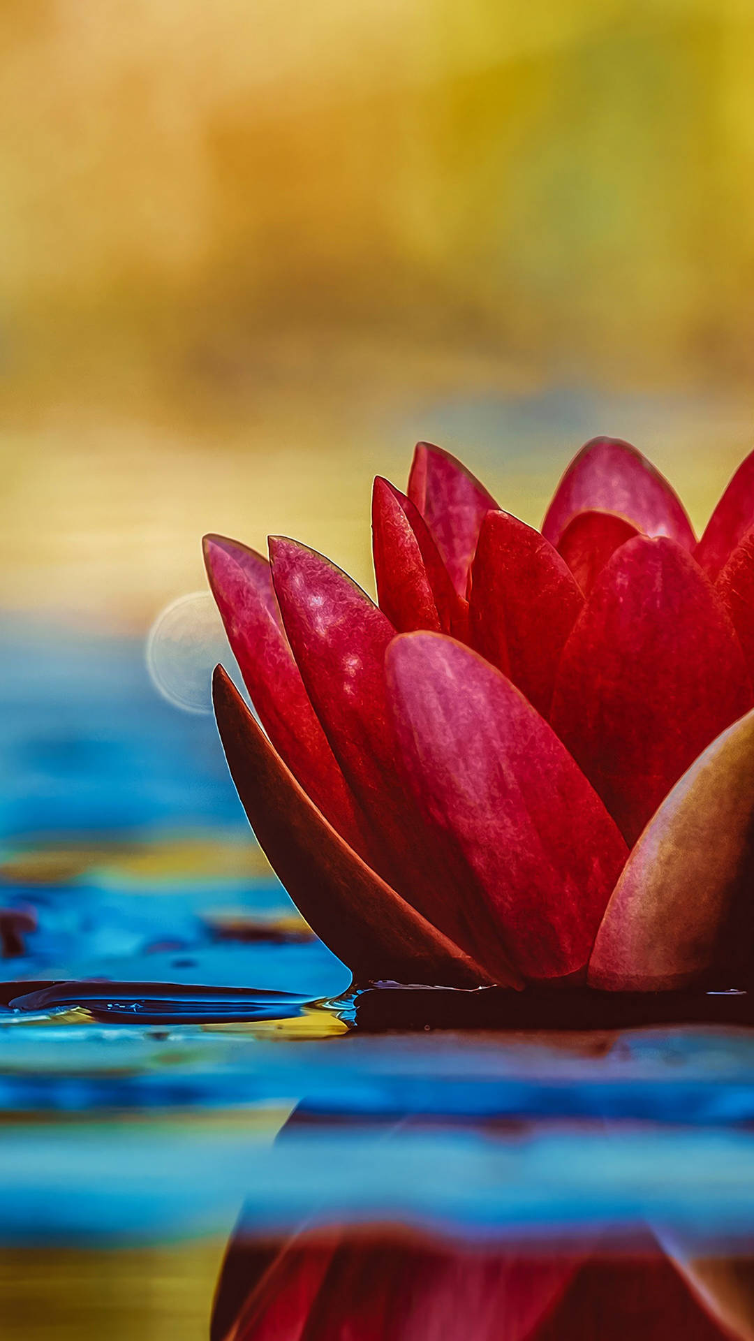 Red Lotus Golden Portrait Aesthetic Background