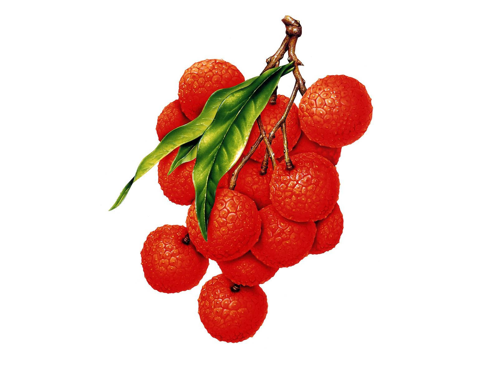 Red Lychee Fruits On Twig Illustration Background