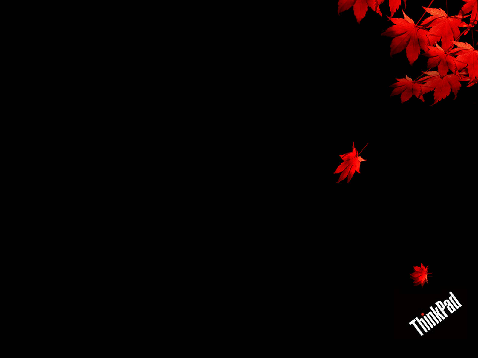 Red Maple Leaves Lenovo Hd Background