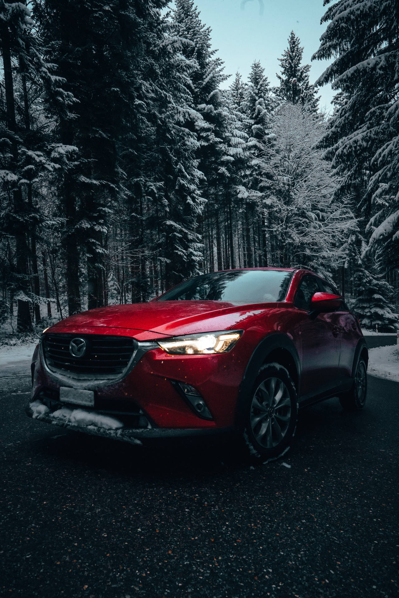 Red Mazda 6 Winter Trees Background