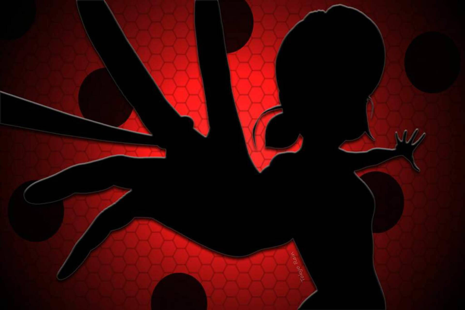Red Miraculous Ladybug Silhouette Background
