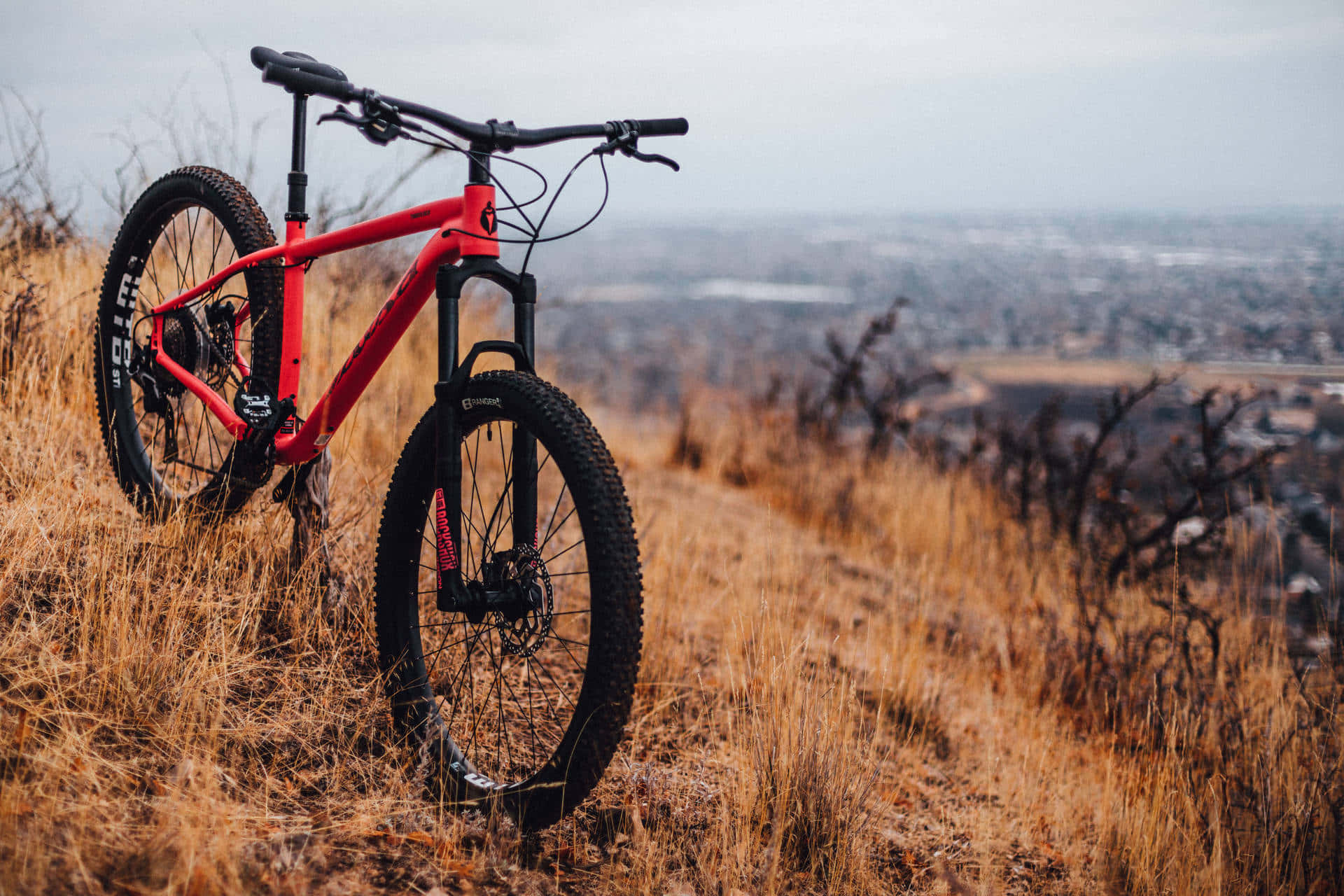 Red Mountain Bike Overlooking City Background