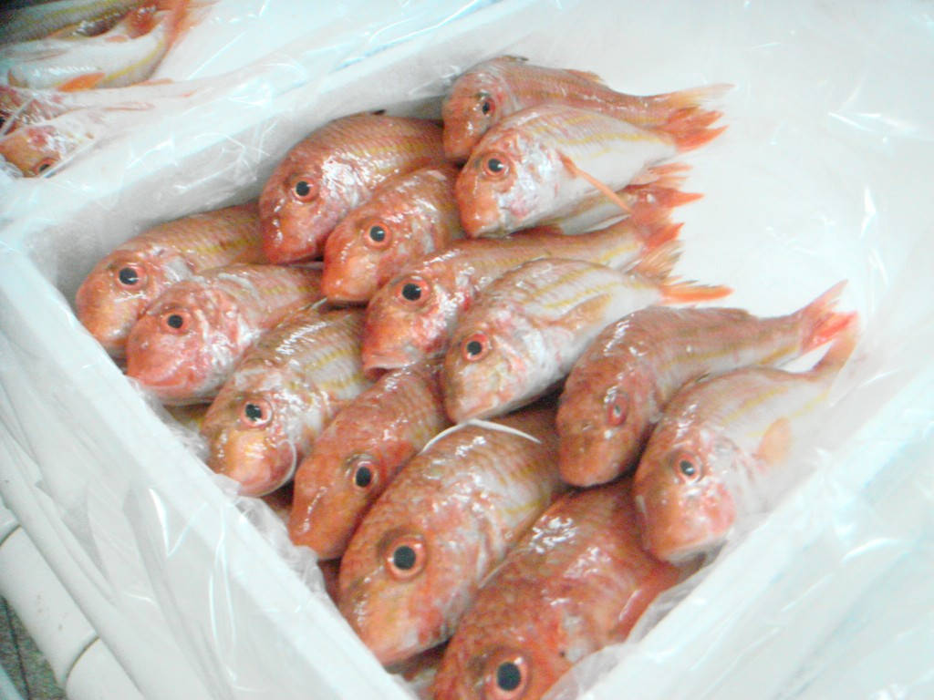 Red Mullet On Fish Market Background