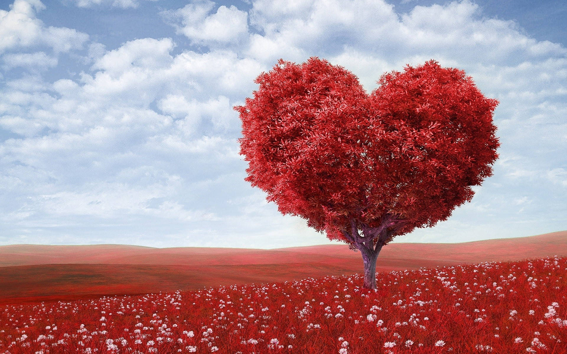 Red Nature Love Background