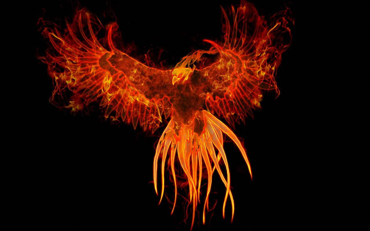 Red Orange Phoenix Background
