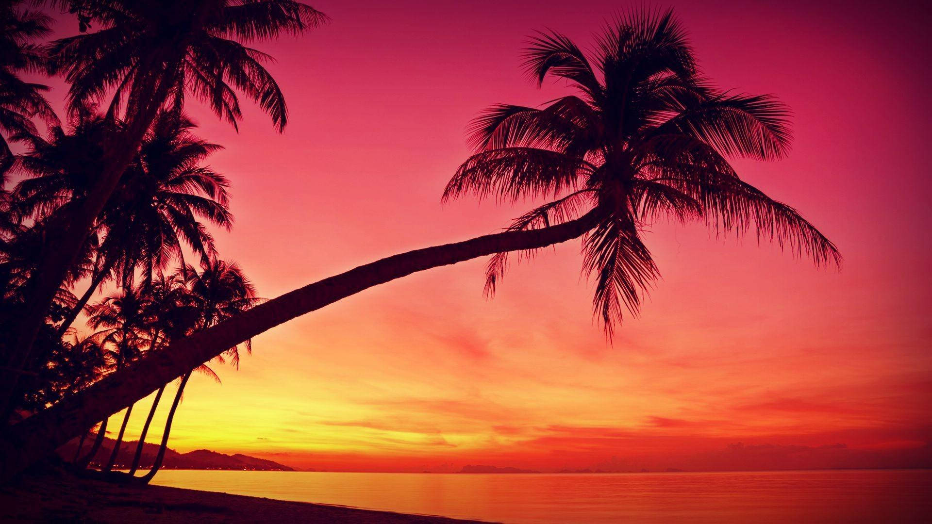 Red Orange Sunset Beach Desktop Background