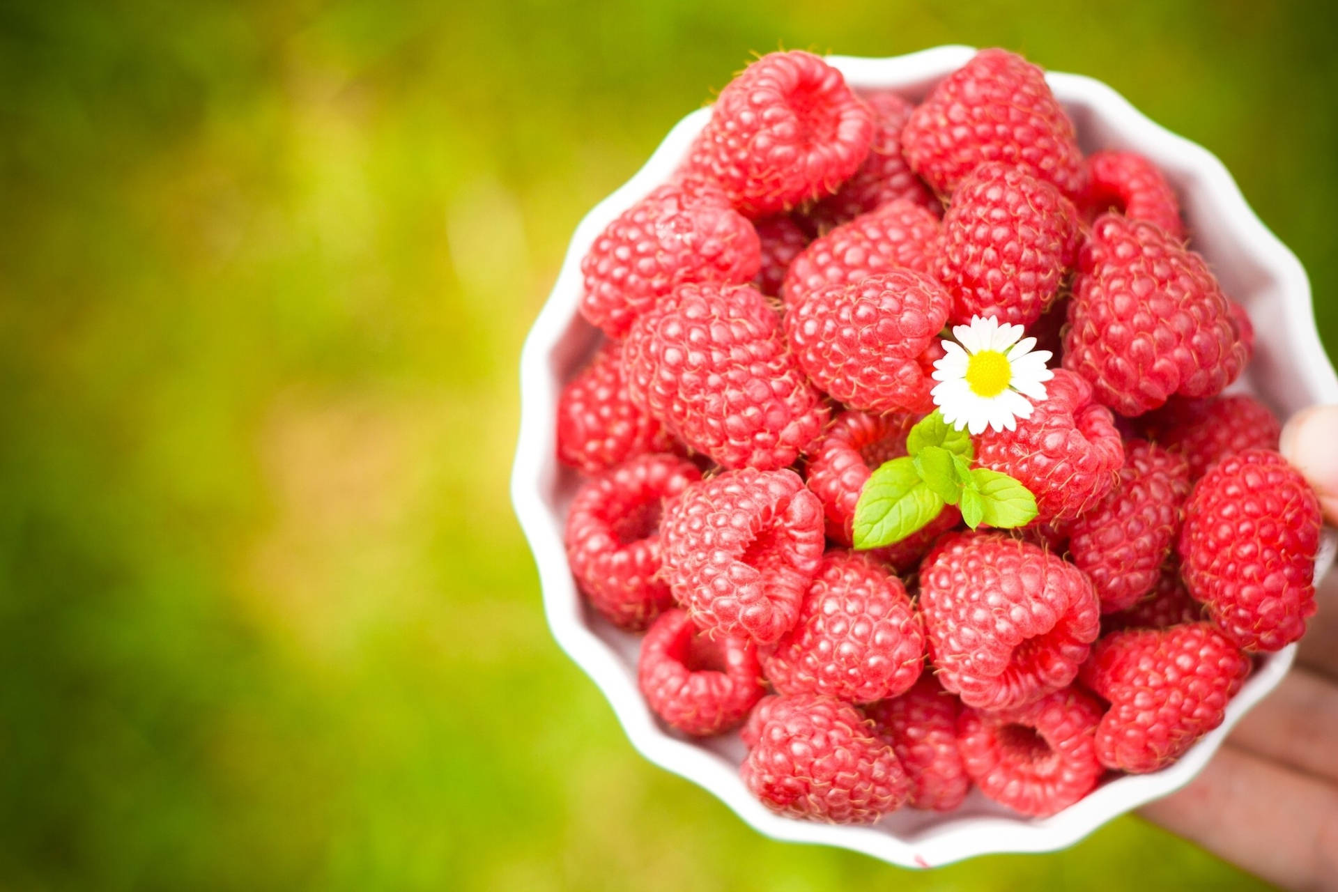 Red Raspberries And Daisy Flower