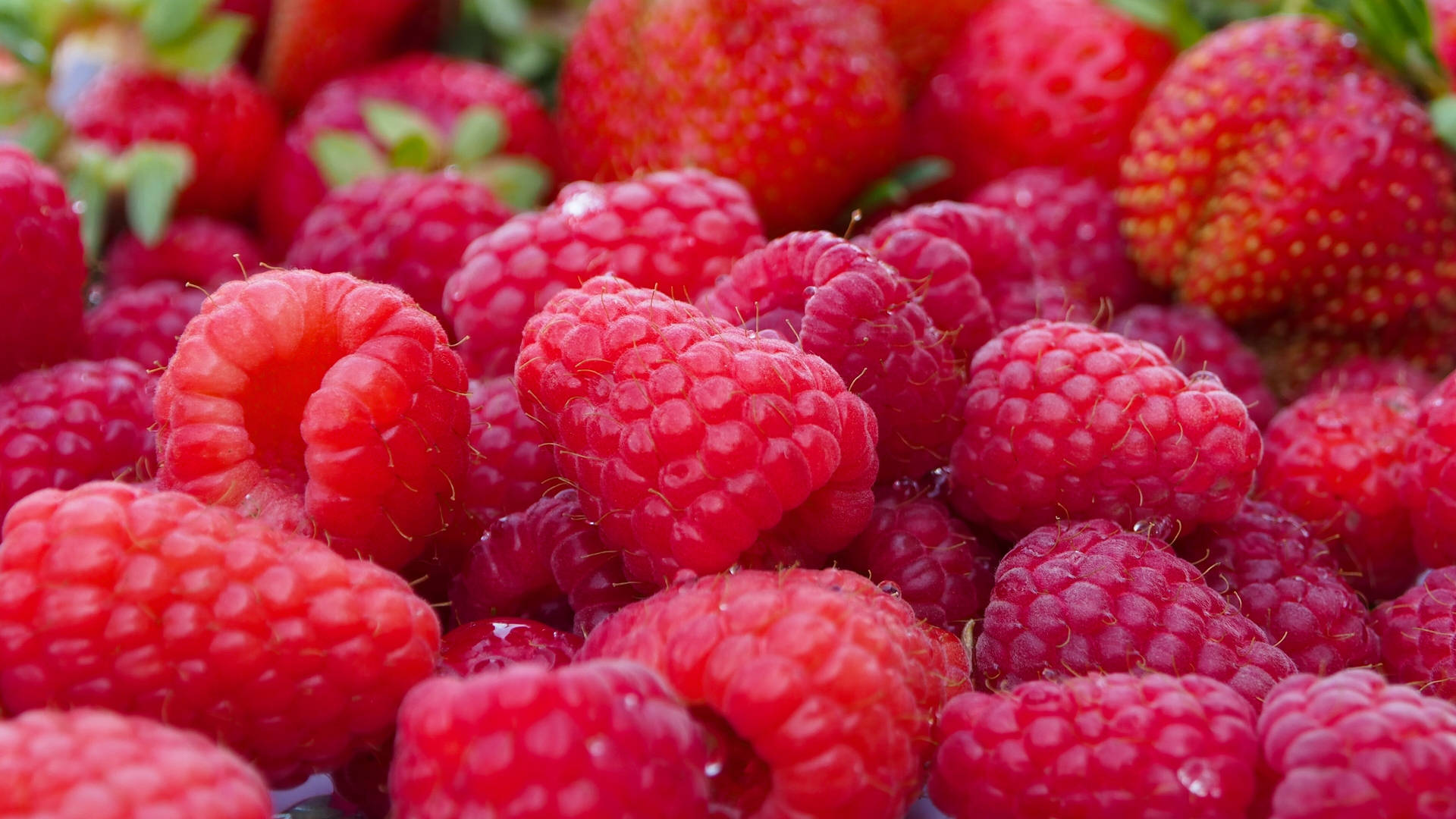 Red Raspberries And Strawberry