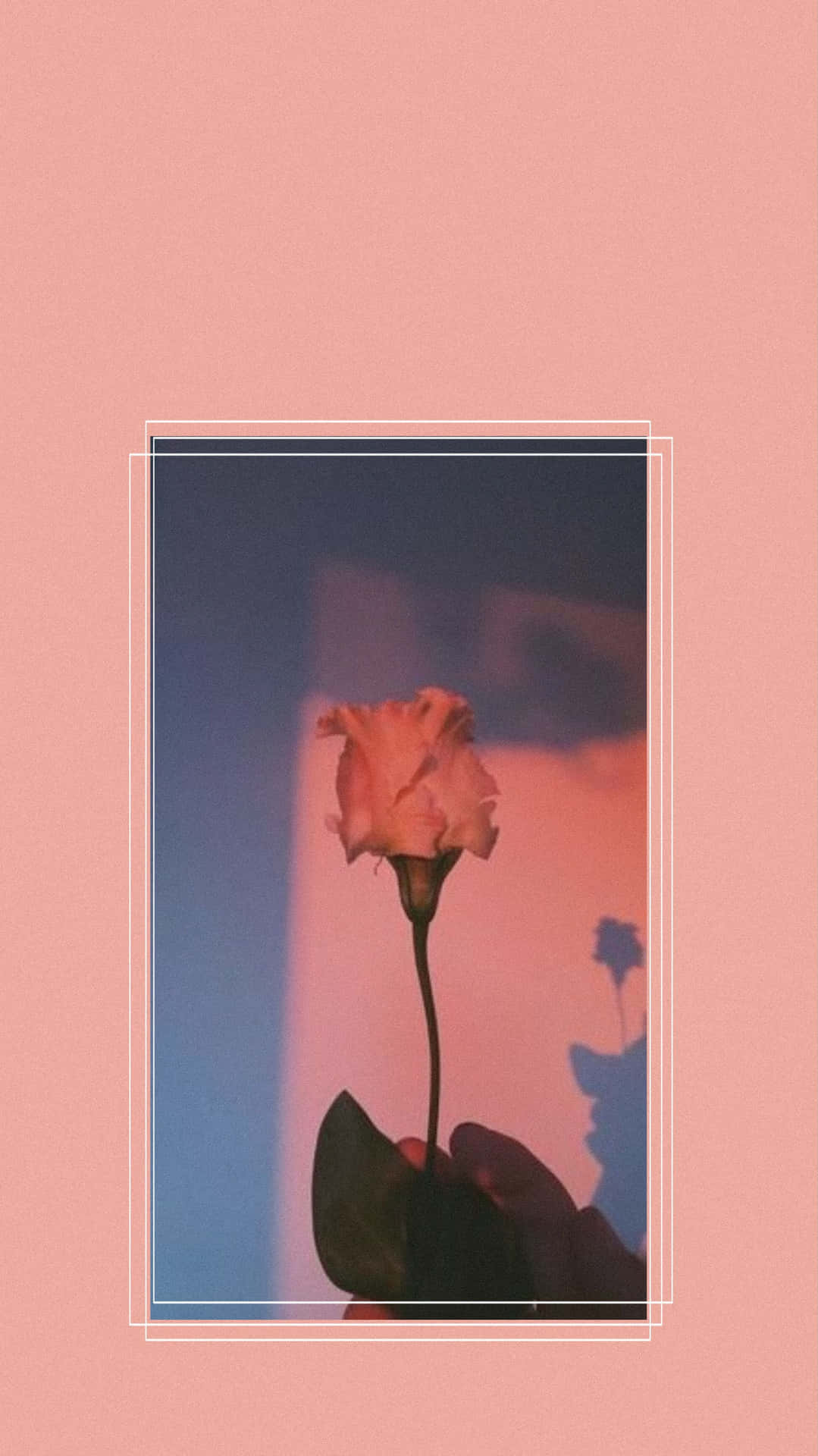 Red Retro 80s Aesthetic Pink Rose Background