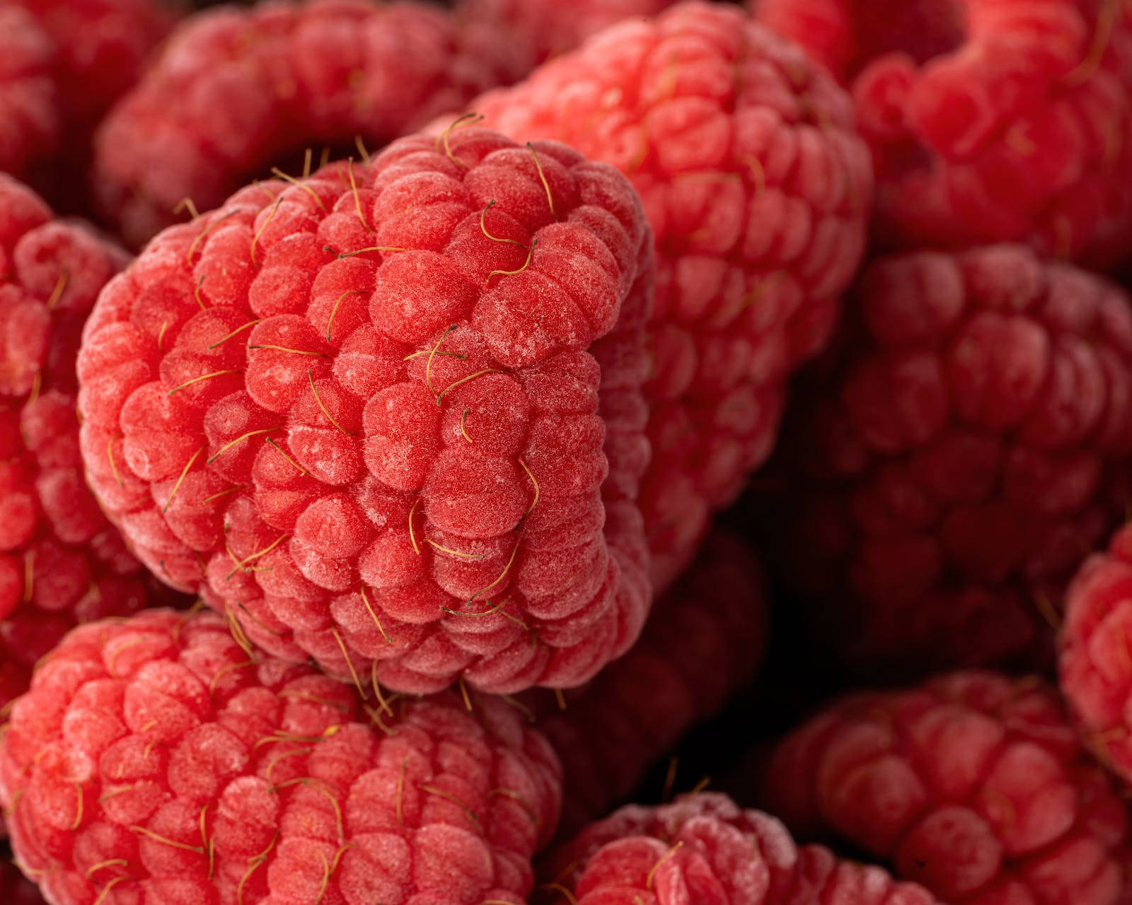 Red Ripe Raspberries Food Desktop Background