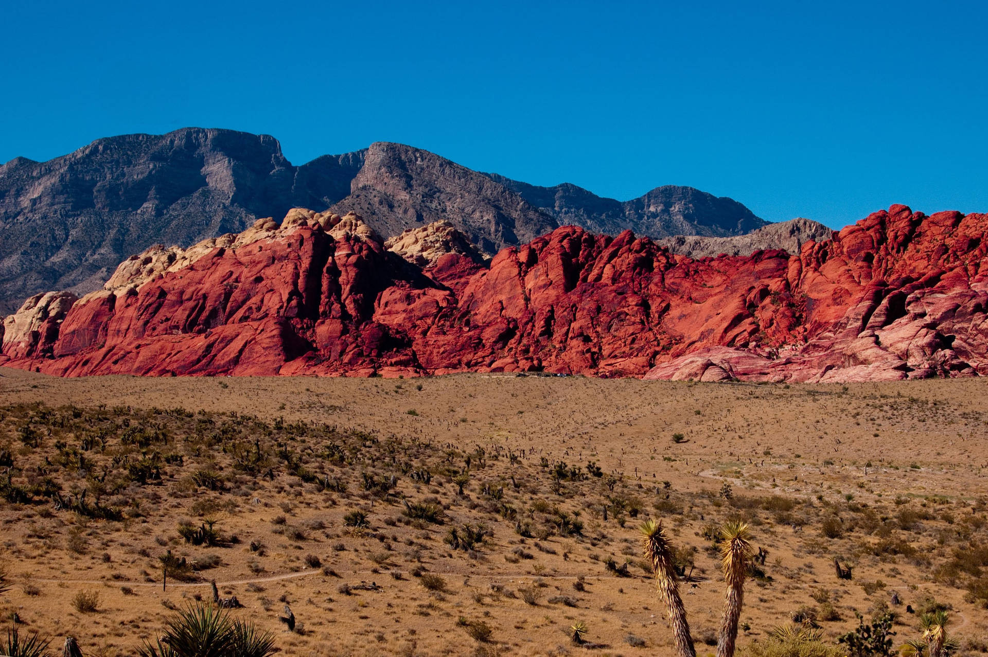 Red Rock Canyon Amazing Desert Landscape Background