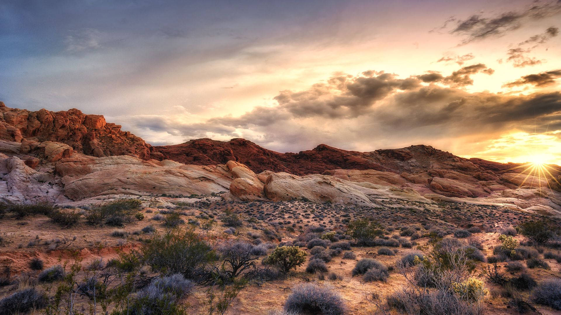 Red Rock Formations And Desert Ferns