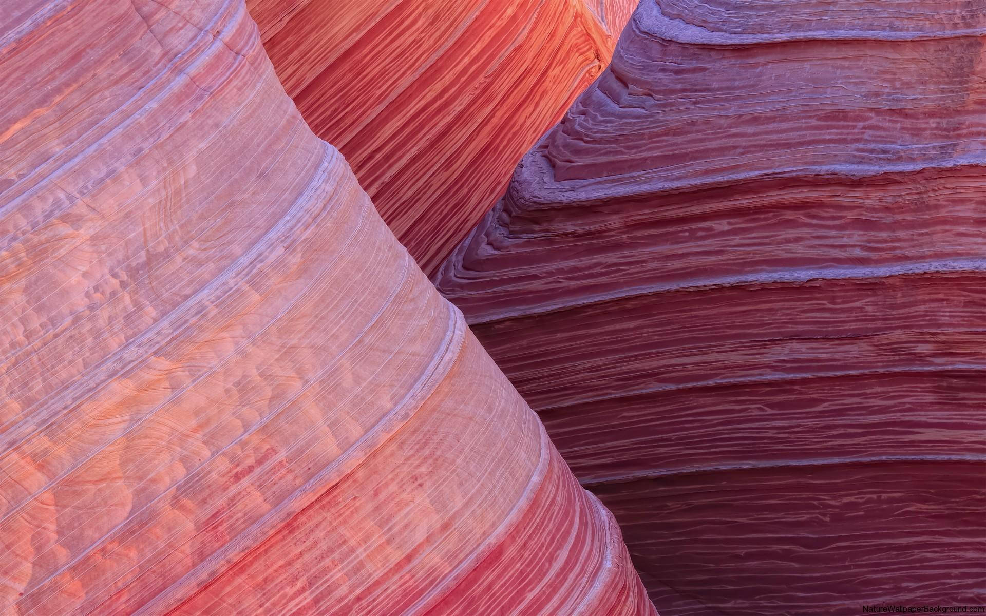 Red Rock Sandstone Close-up Background