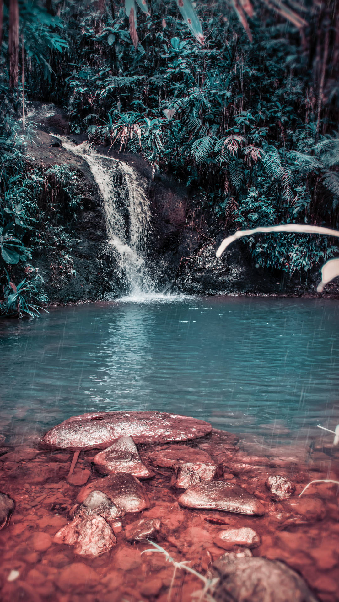 Red Rocks Jungle Iphone Background