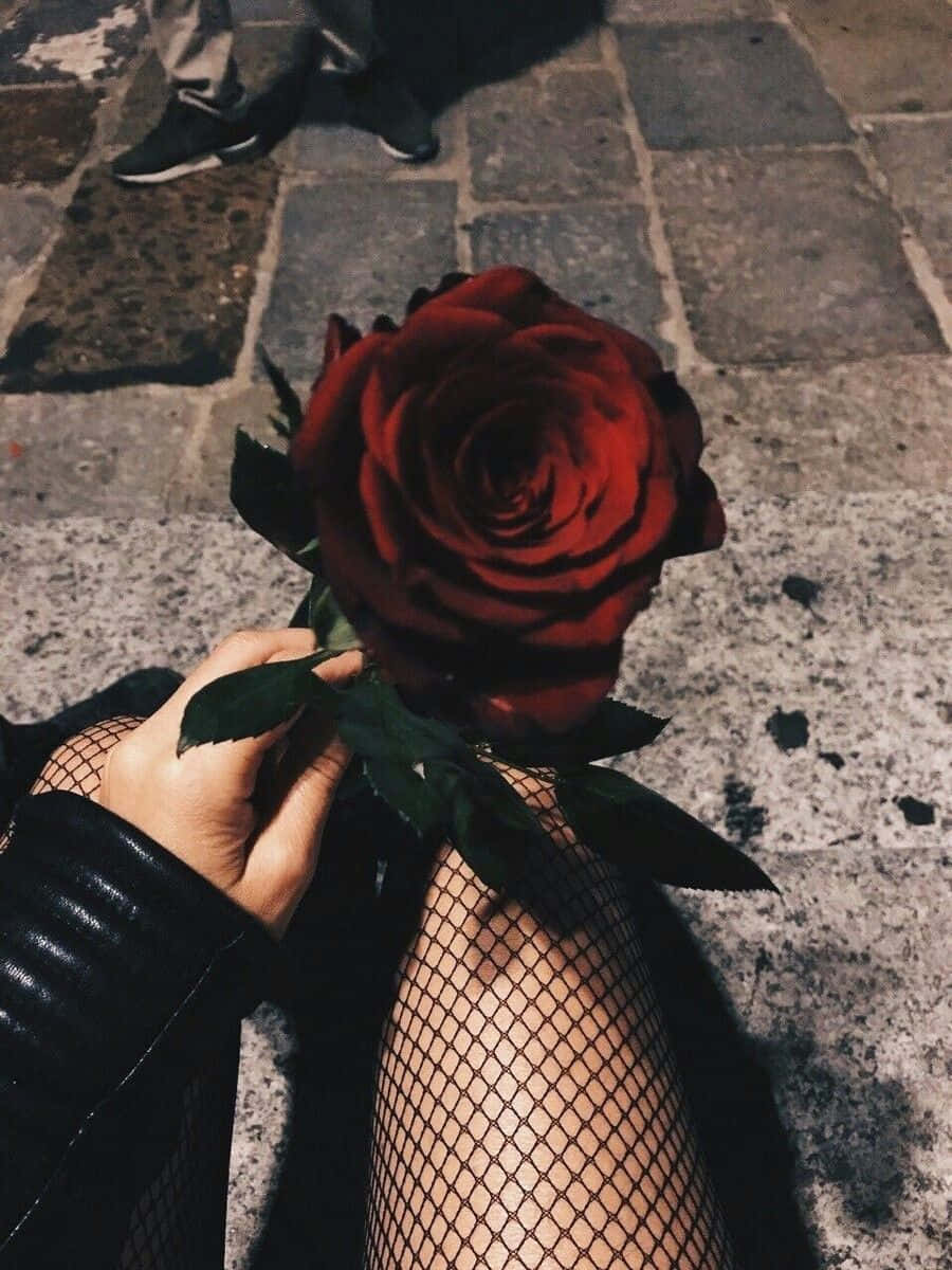 Red Rose 90s Grunge Aesthetic Background