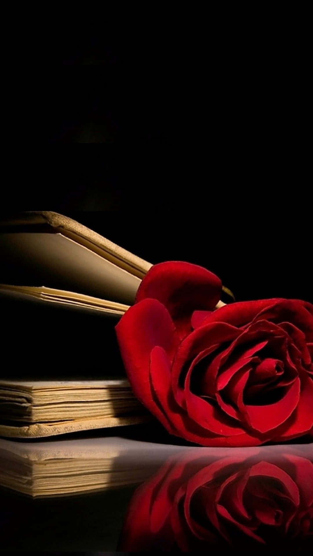 Red Rose Aesthetic In Book