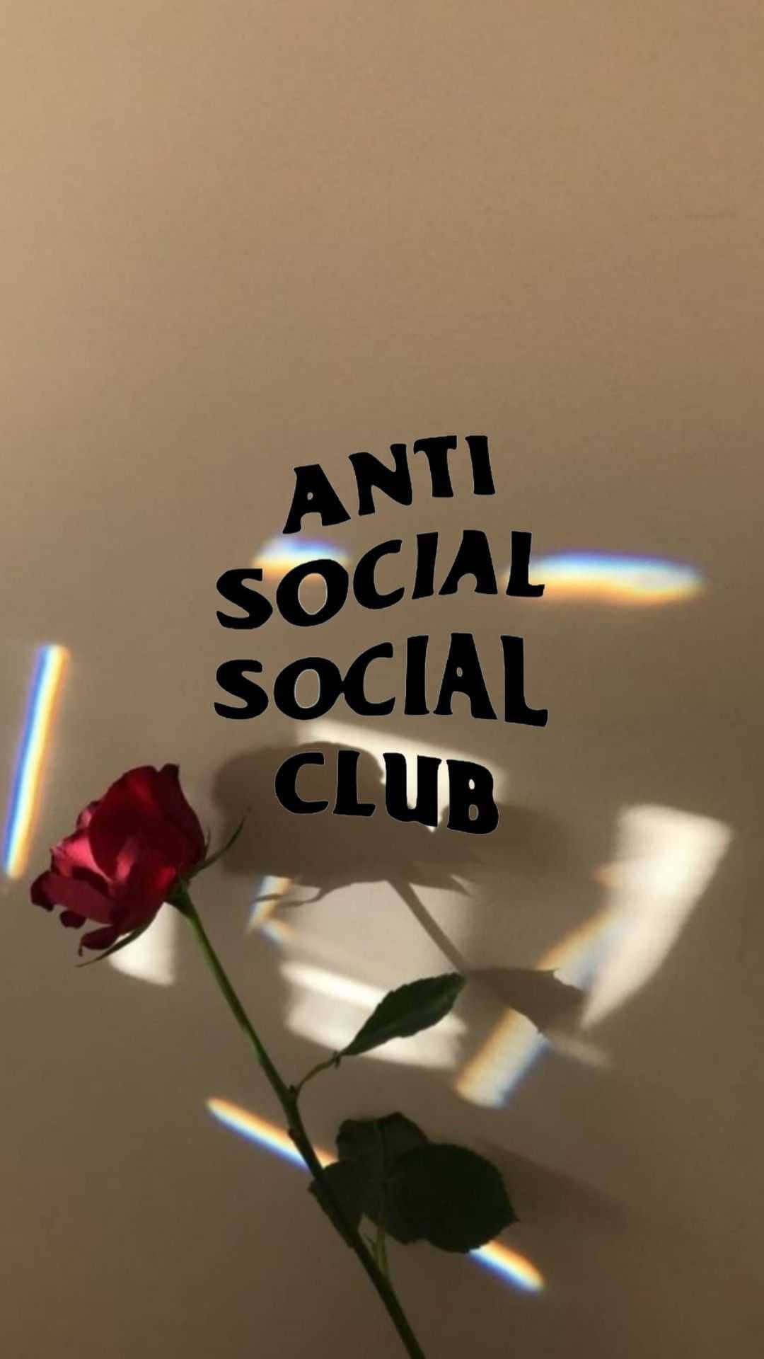 Red Rose And Anti Social Club Iphone Background