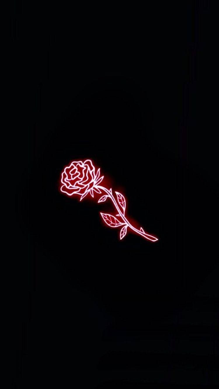 Red Rose Black Neon Aesthetic Background