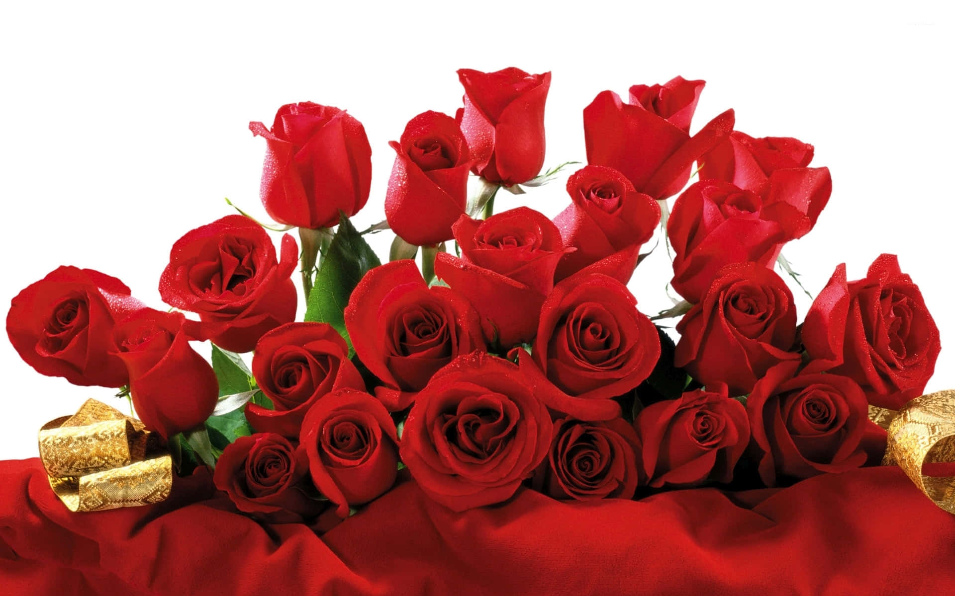 Red Rose Bouquet Valentine