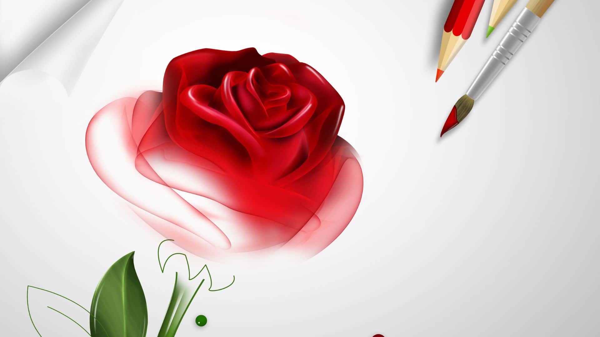 Red Rose Illustration On Progress Background
