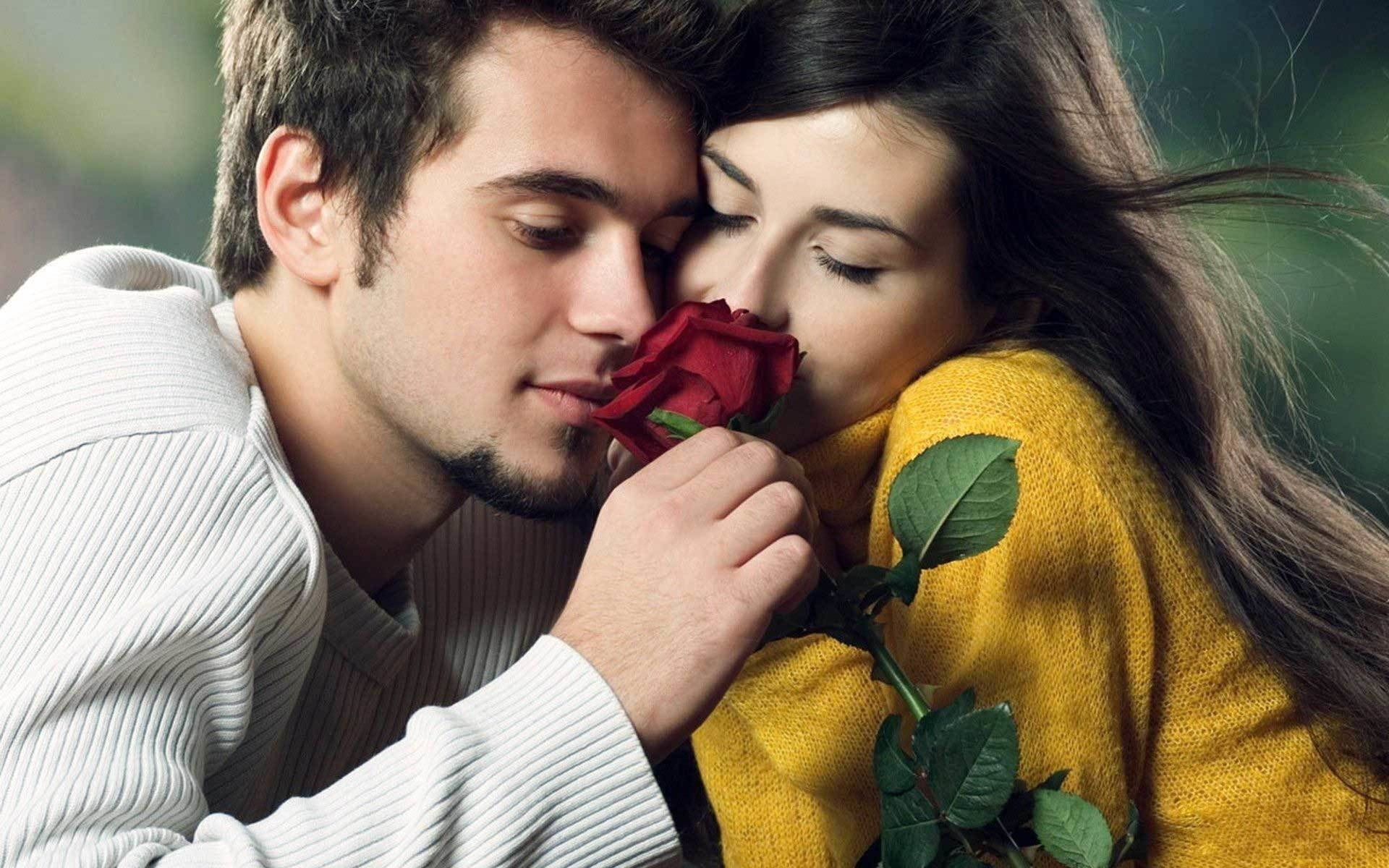 Red Rose Kissing Hd