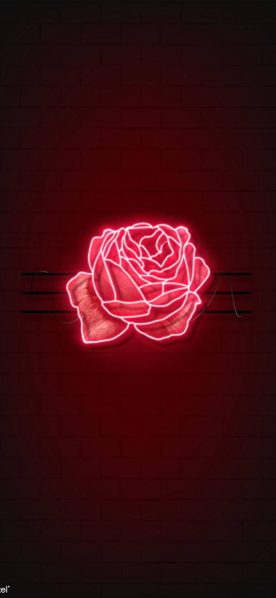 Red Rose Led Light Background