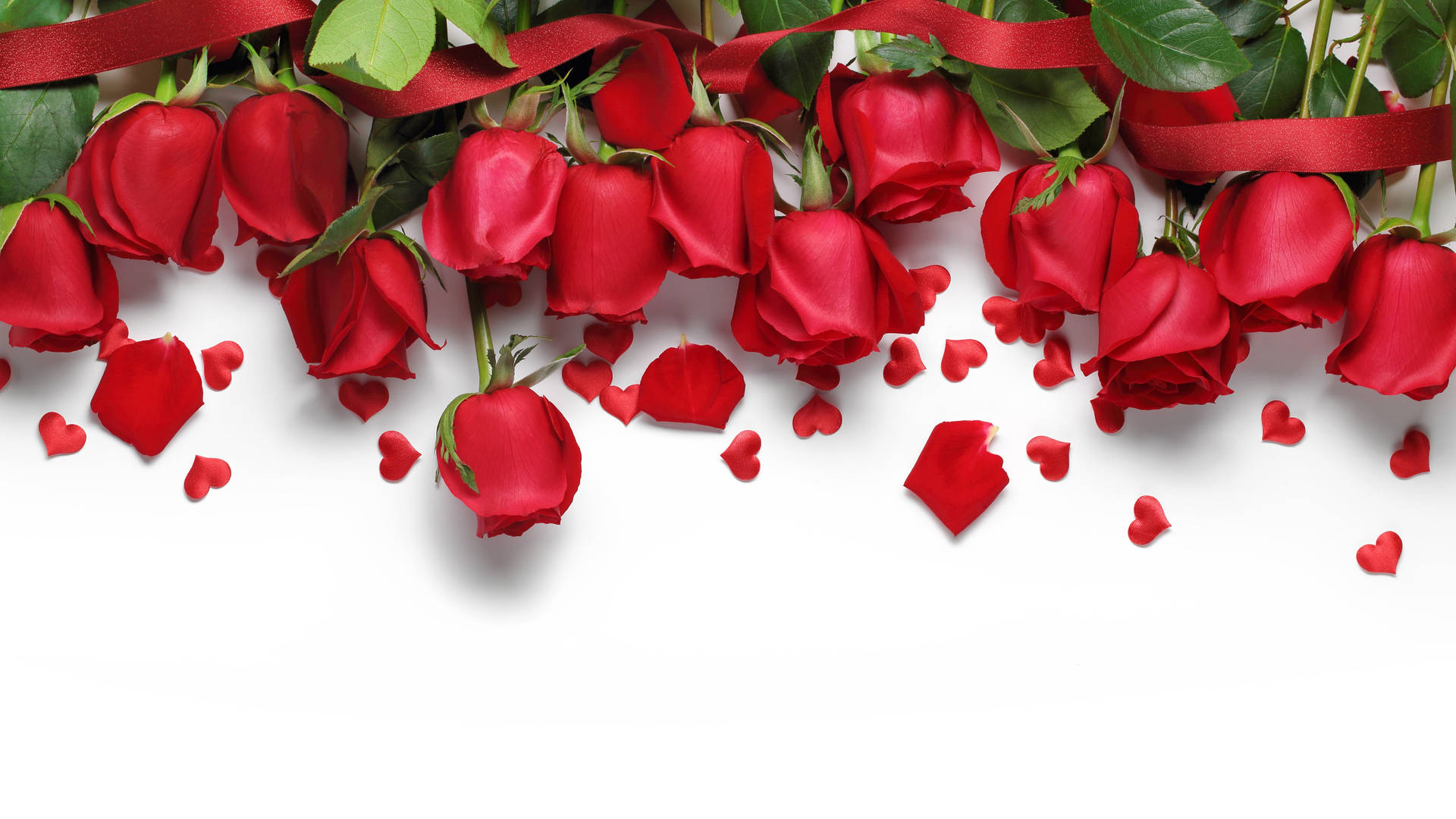Red Roses Google Meet Virtual Background Background