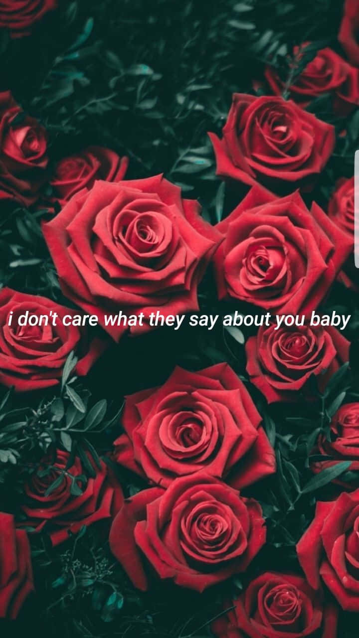 Red Roses I Don't Care Background