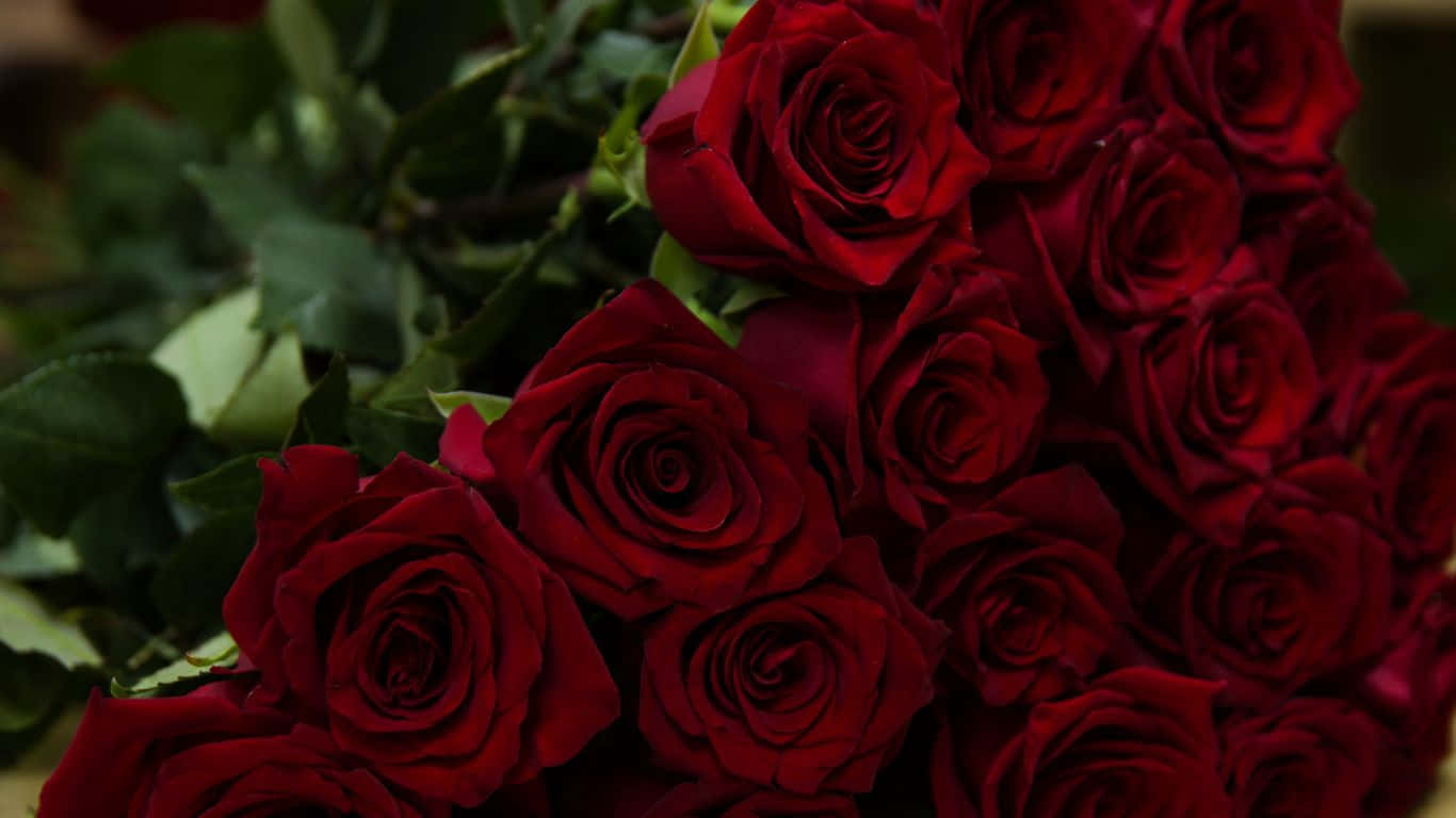 Red Roses Laptop Bouquet With Stem And Leaves Background