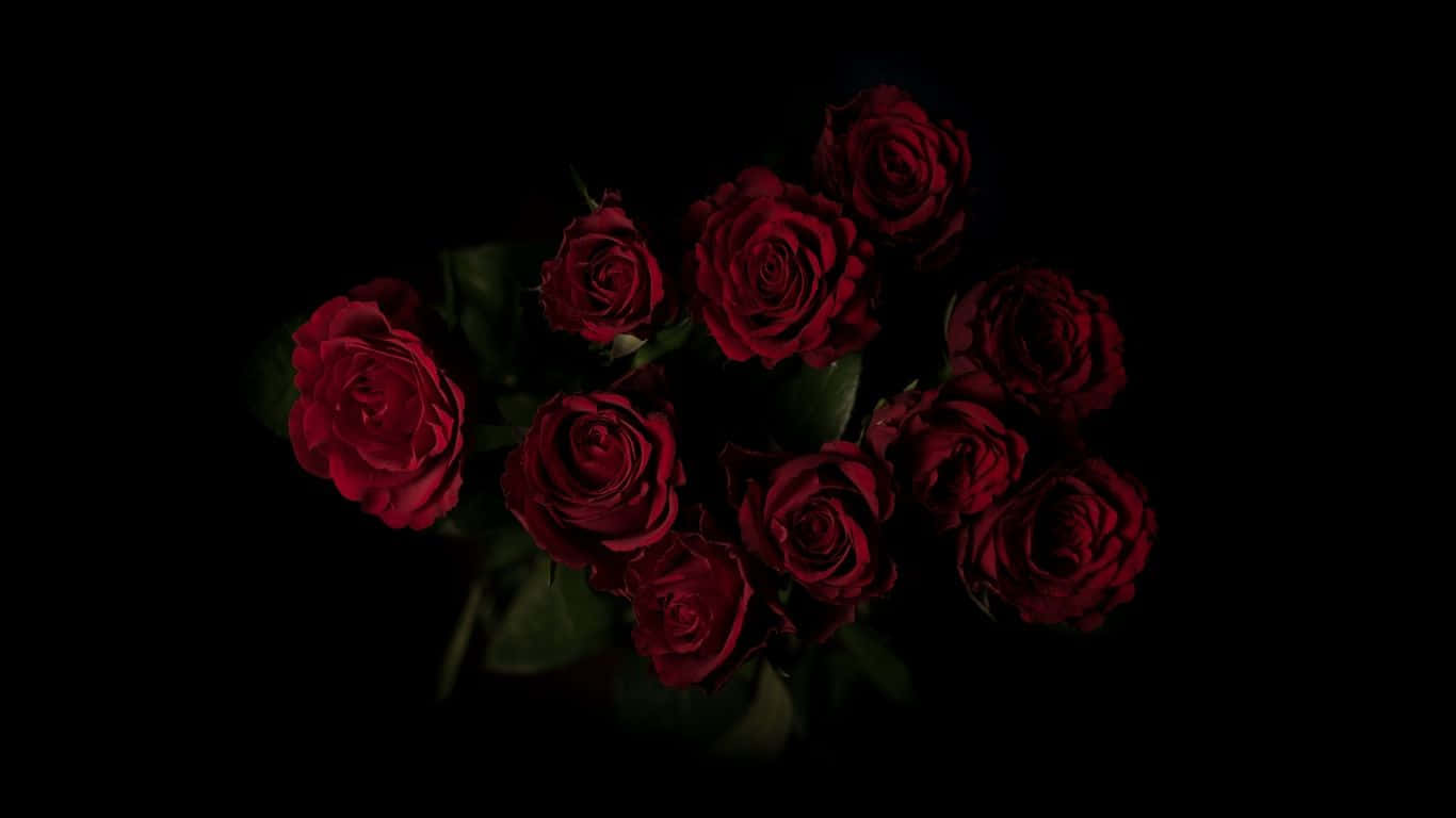 Red Roses Laptop Dimly Lit Room
