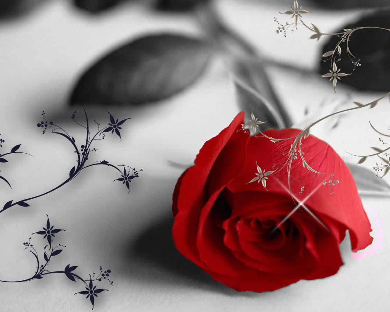 Red Roses Laptop Lying On Table Background