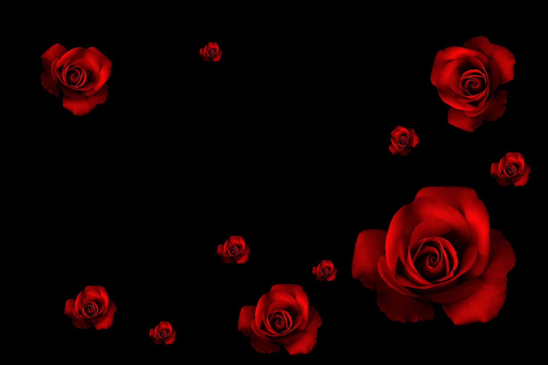 Red Roses On A Black Background Background