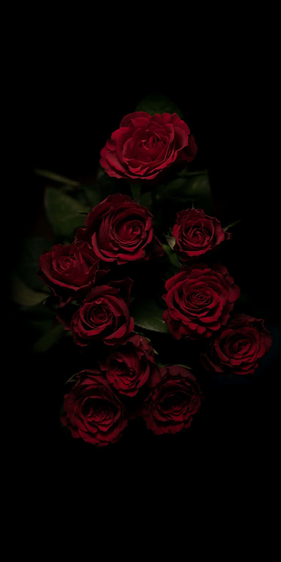 Red Roses On A Black Background Background