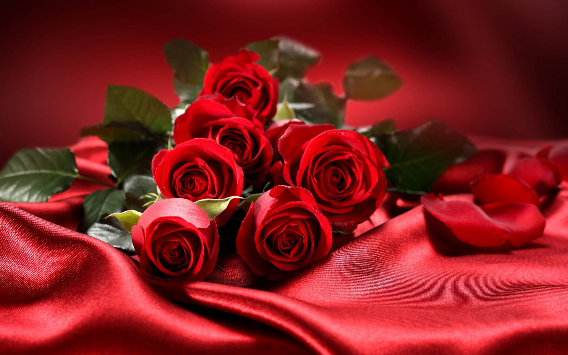 Red Roses On Silk Background