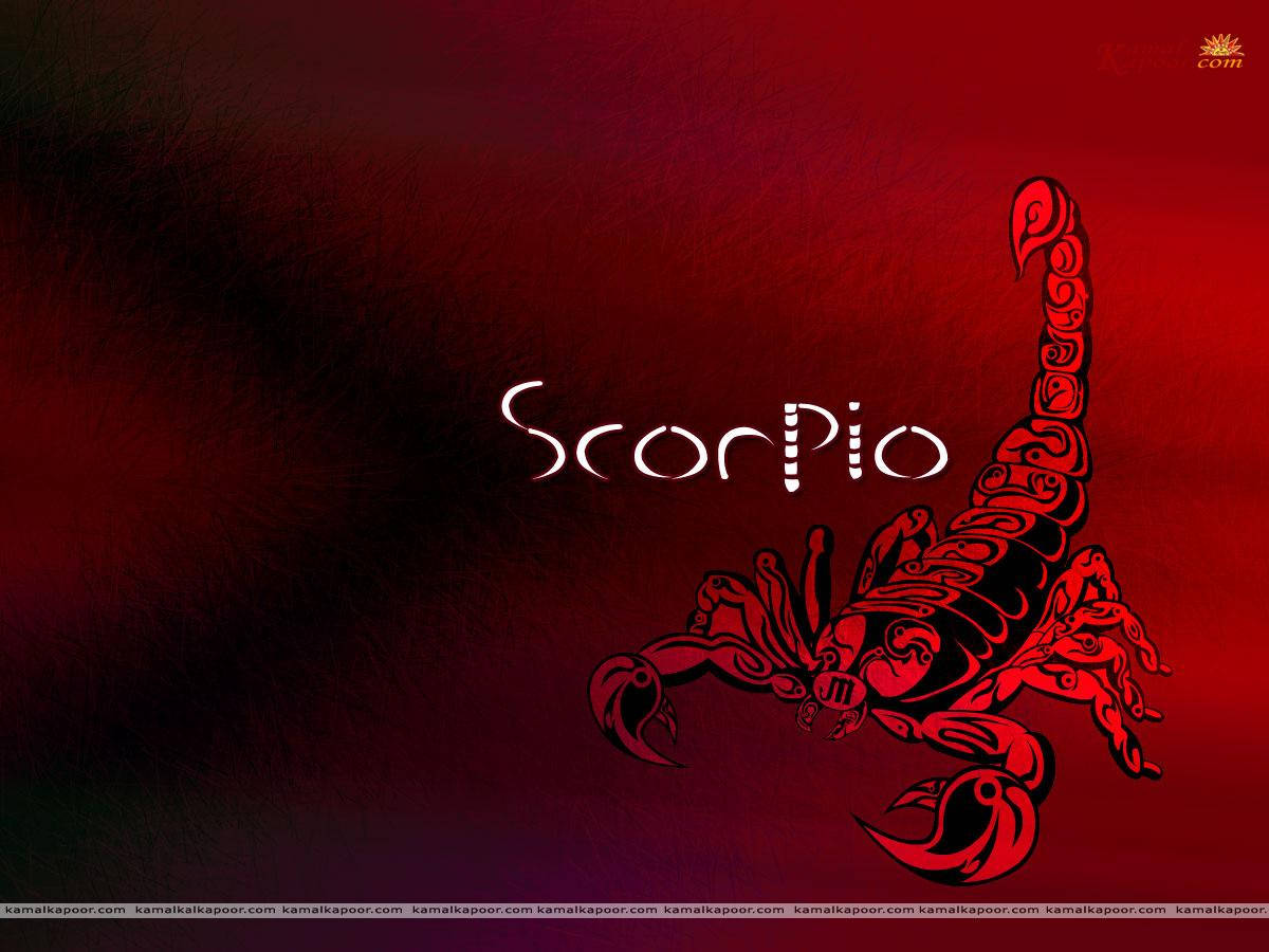 Red Scorpio And Scorpion Background