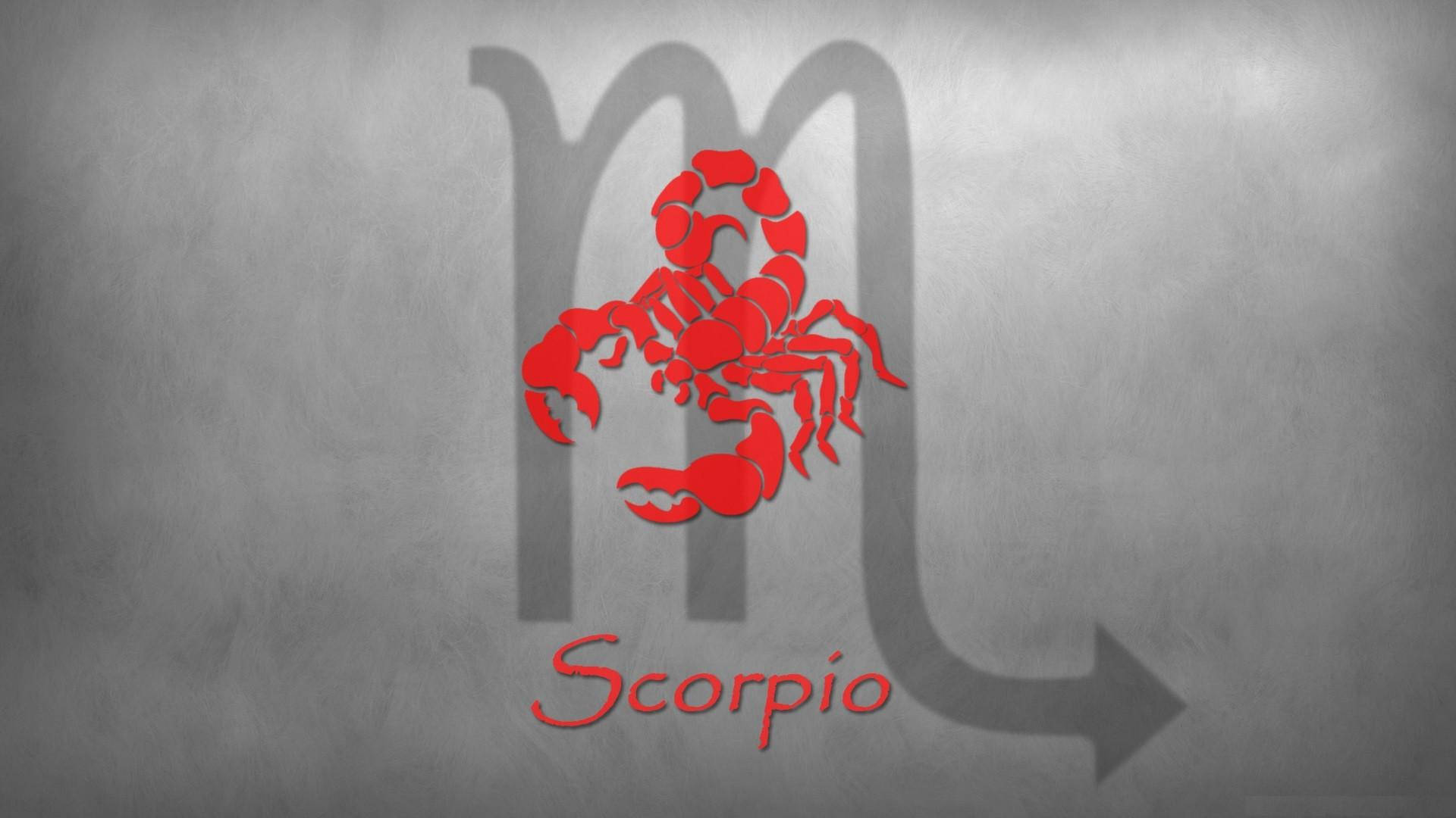 Red Scorpio Gray Background
